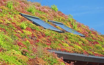 West Stow living roof systems